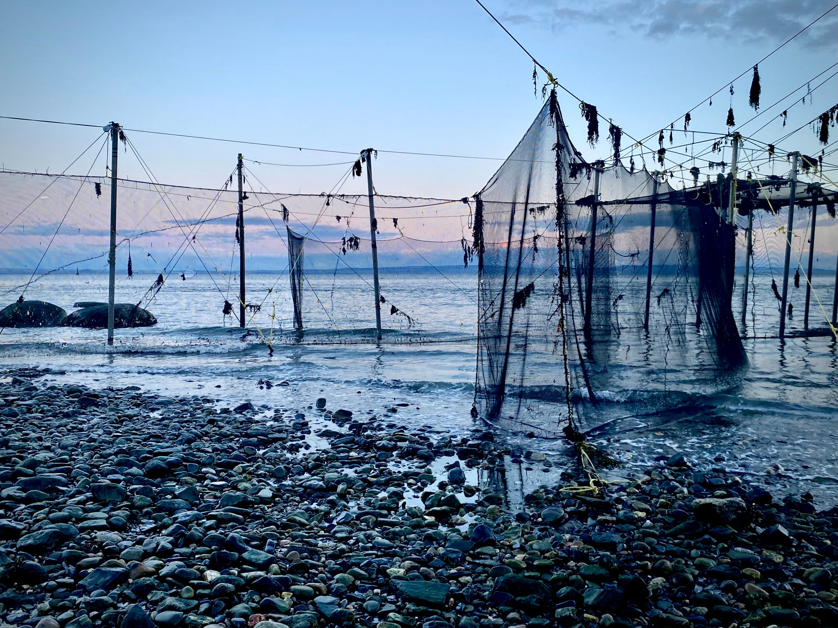 Pêcherie Charlevoix - Pêche à la fascine - Partenaire UMAM sauce poisson