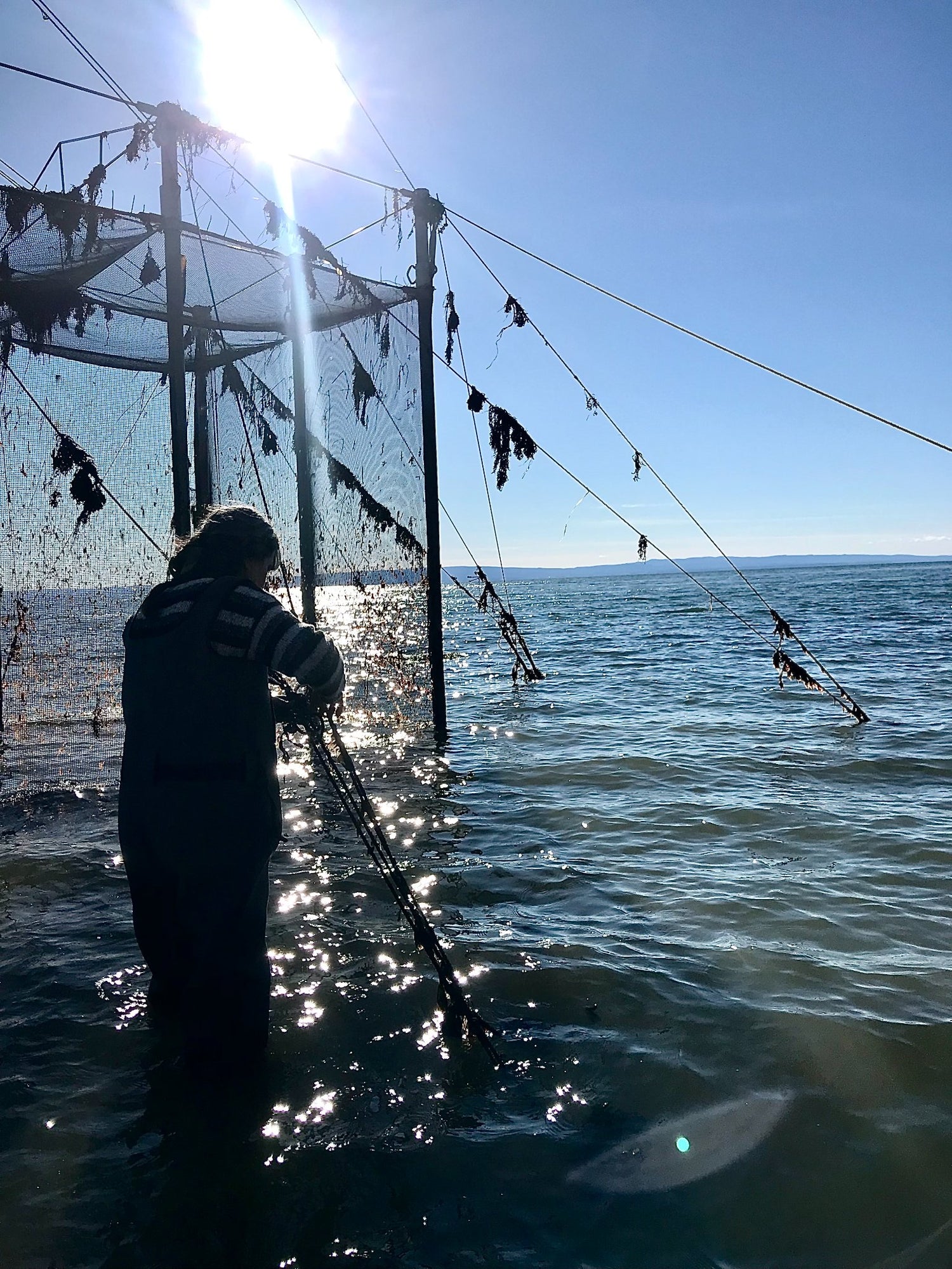 Pêcherie Charlevoix - Pêche à la fascine - Partenaire UMAM sauce poisson