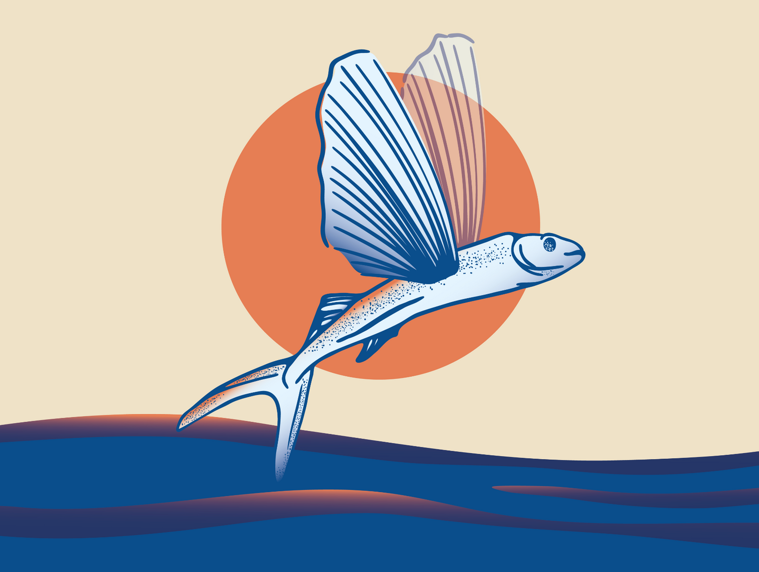 Sauce poisson UMAM illustration