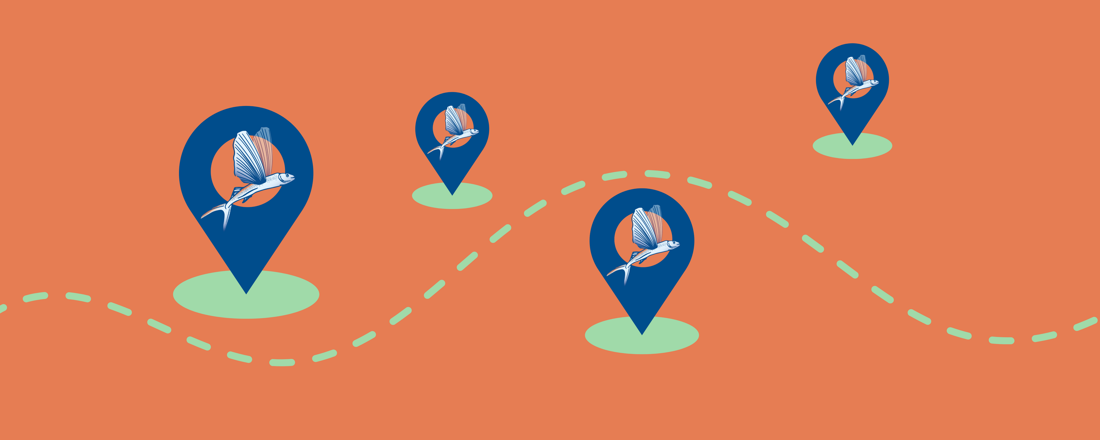 Points de vente - UMAM sauce poisson